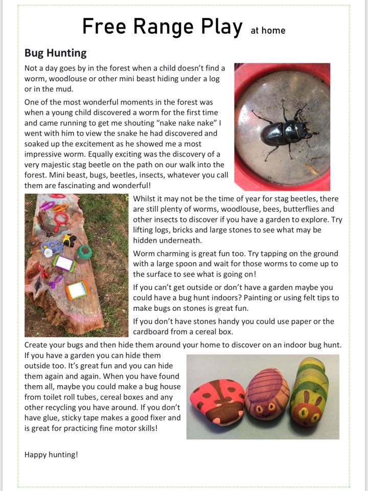 Bug Hunting Bug Hunting